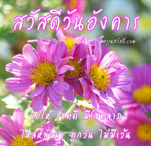 สวัสดีวันอังคาร