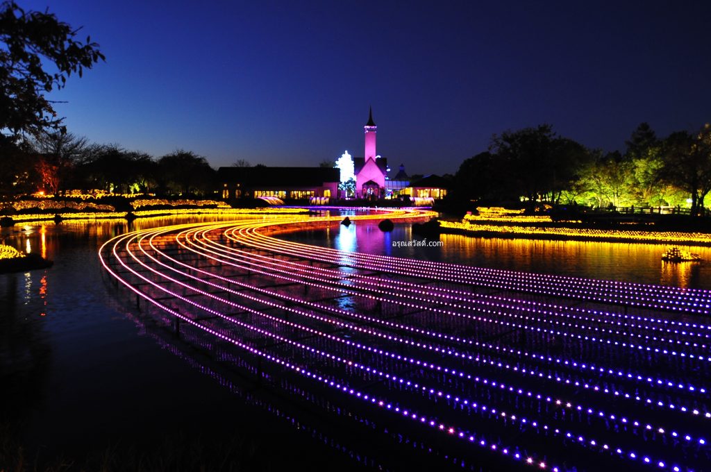 นาบานะ โนะ ซะโตะ Nabana No Sato Illumination
