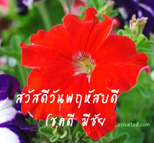 สวัสดีวันพฤหัสบดี