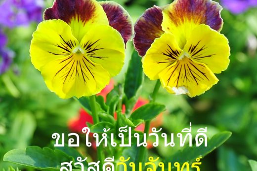 สวัสดีวันจันทร์