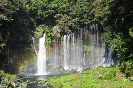 เที่ยวญี่ปุ่นที่น้ำตกชะระอิโตะโนะทะคิ Shiraito no Taki Waterfalls