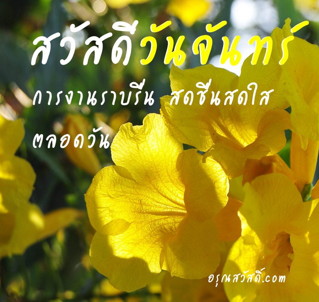 สวัสดีวันจันทร์