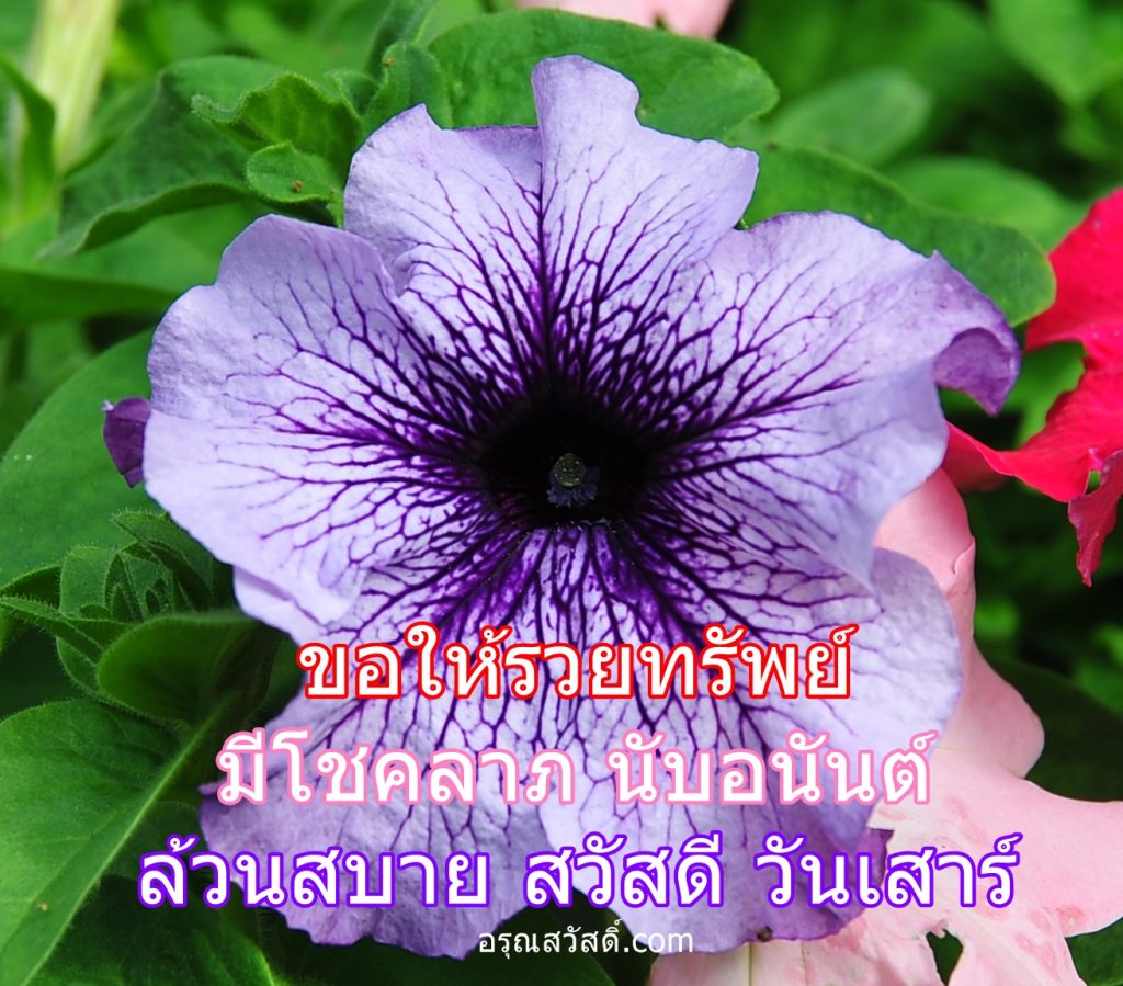 สวัสดีวันเสาร์