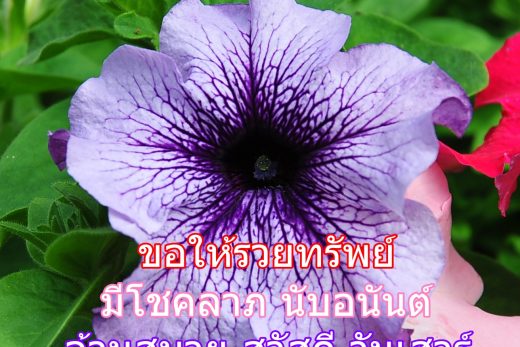 สวัสดีวันเสาร์