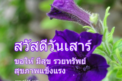สวัสดีวันเสาร์
