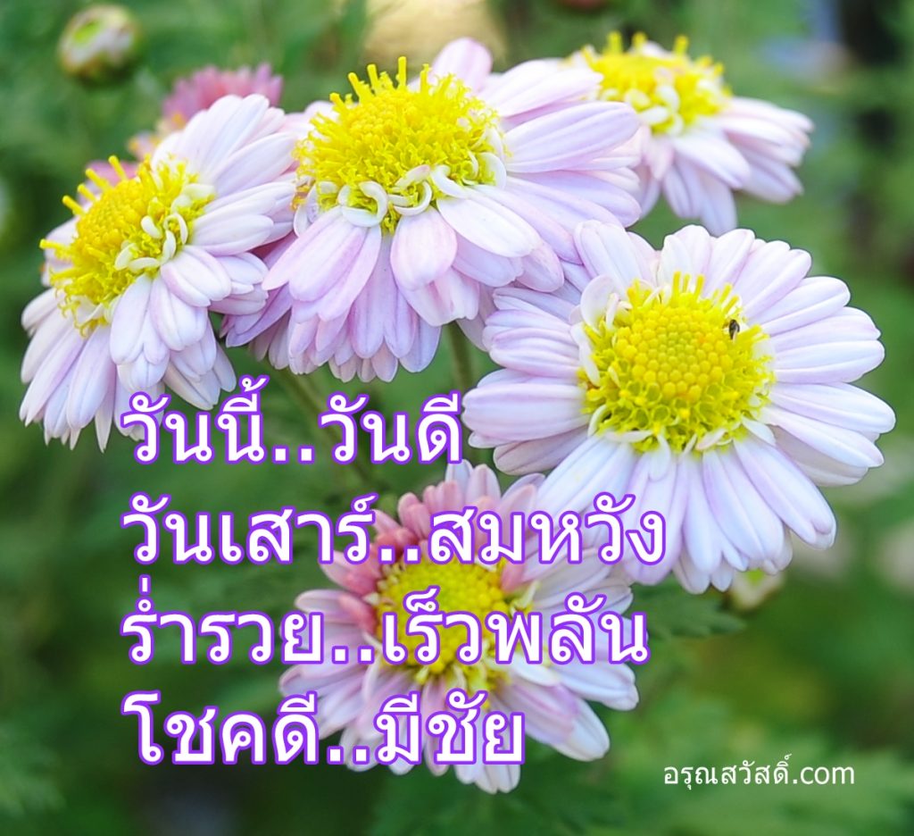 อรุณสวัสดิ์