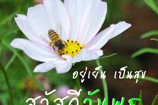 สวัสดีวันพุธ