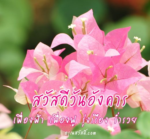 สวัสดีวันอังคาร