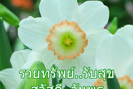 สวัสดีวันพุธ