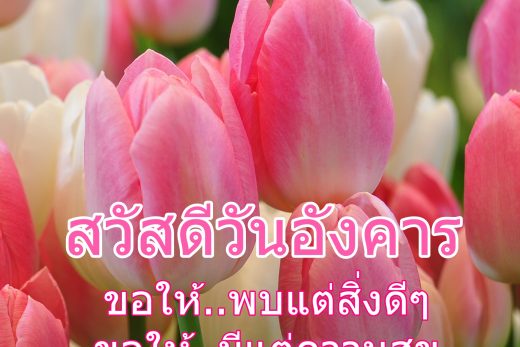 สวัสดีวันอังคาร