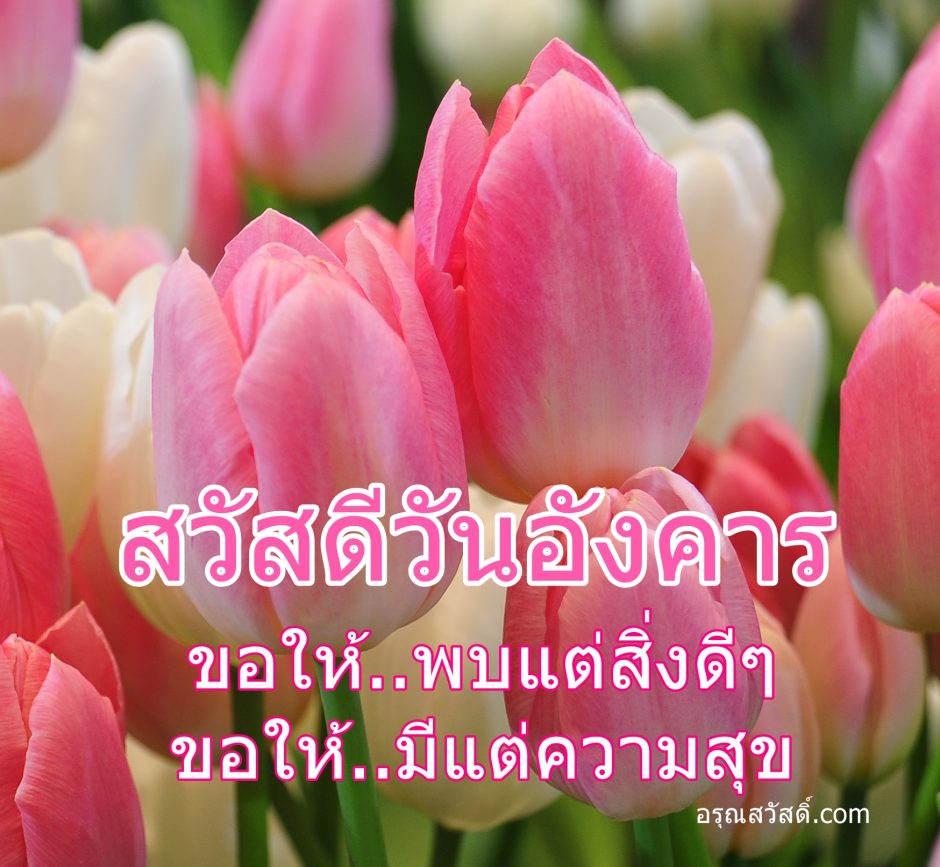 สวัสดีวันอังคาร