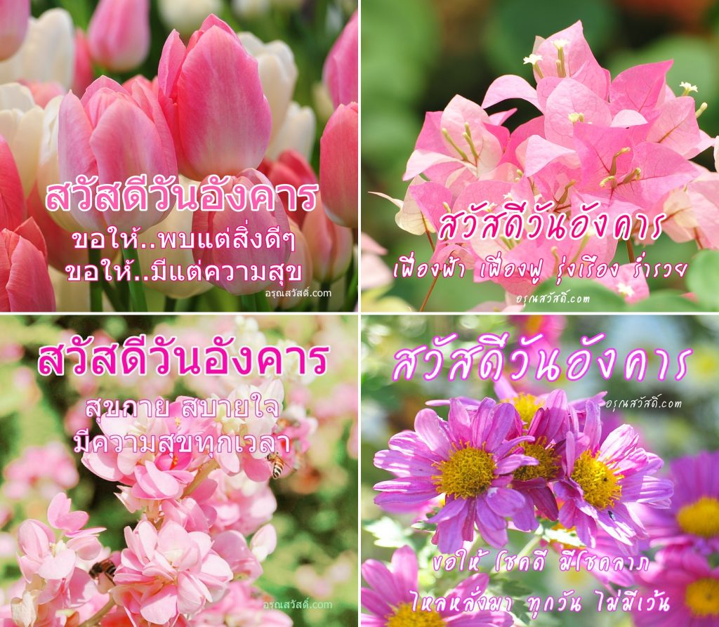 สวัสดีตอนเช้า