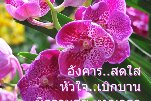 สวัสดีวันอังคาร