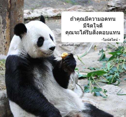 คำคมนักวิทยาศาสตร์
