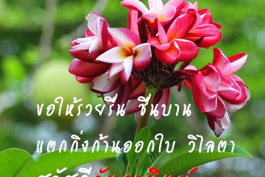 สวัสดีวันอาทิตย์