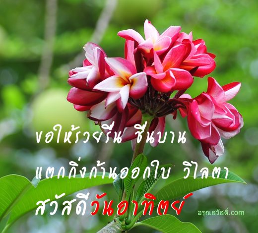สวัสดีวันอาทิตย์