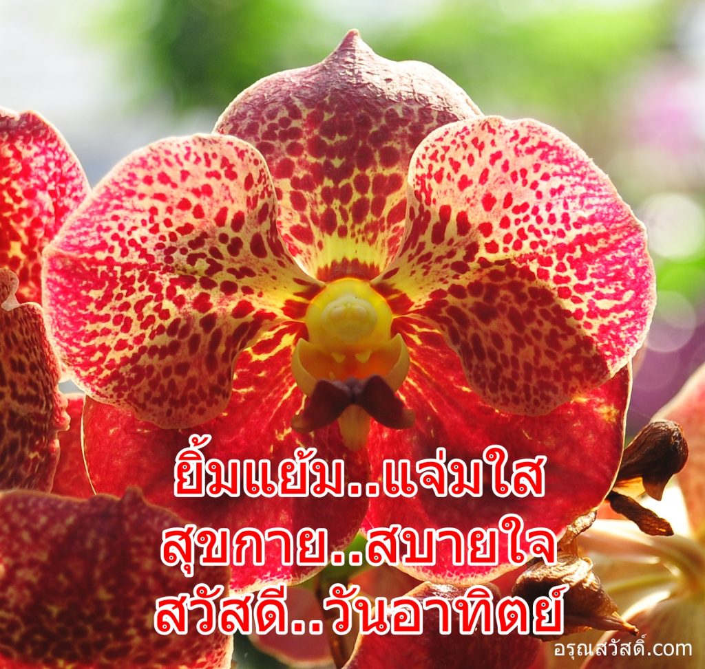 สวัสดีวันอาทิตย์