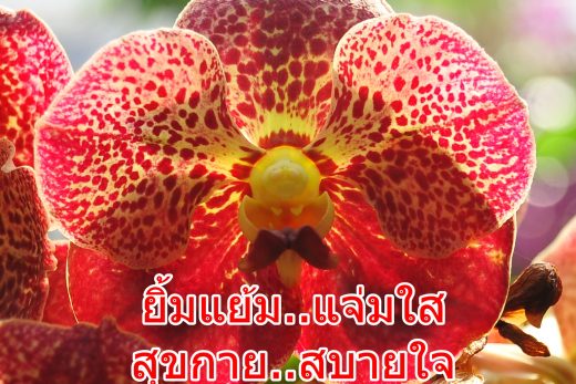 สวัสดีวันอาทิตย์