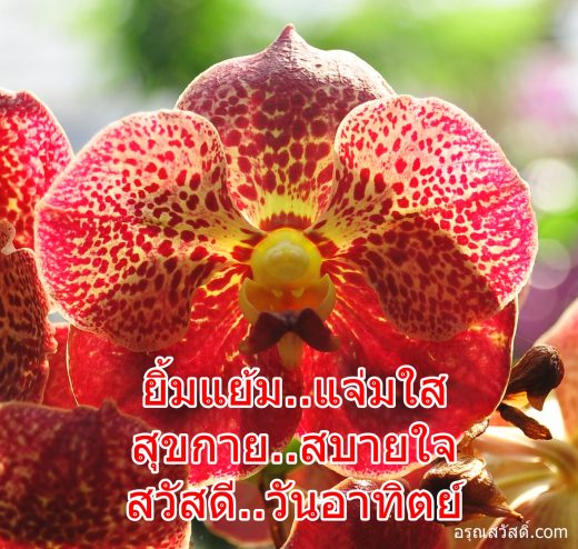 สวัสดีวันอาทิตย์