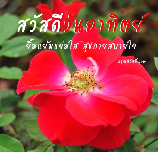 สวัสดีวันอาทิตย์