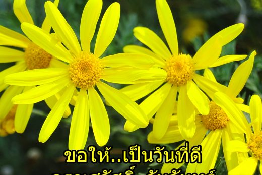 อรุณสวัสดิ์