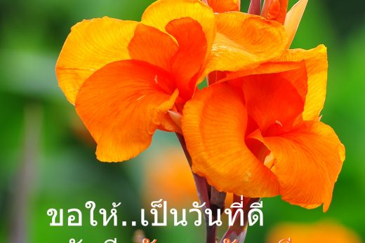 สวัสดีวันพฤหัสบดี
