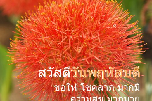 วันพฤหัสบดี