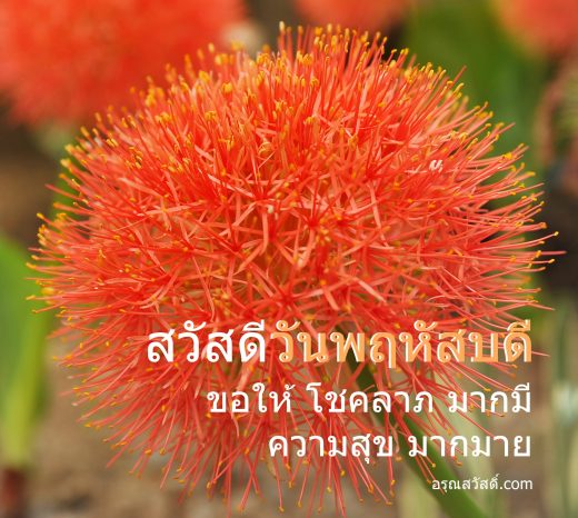 วันพฤหัสบดี