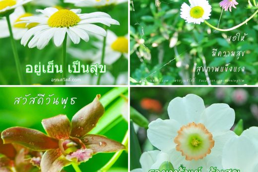 สวัสดีตอนเช้า