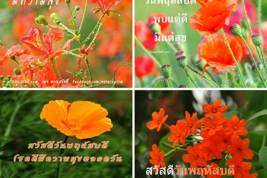 อรุณสวัสดิ์