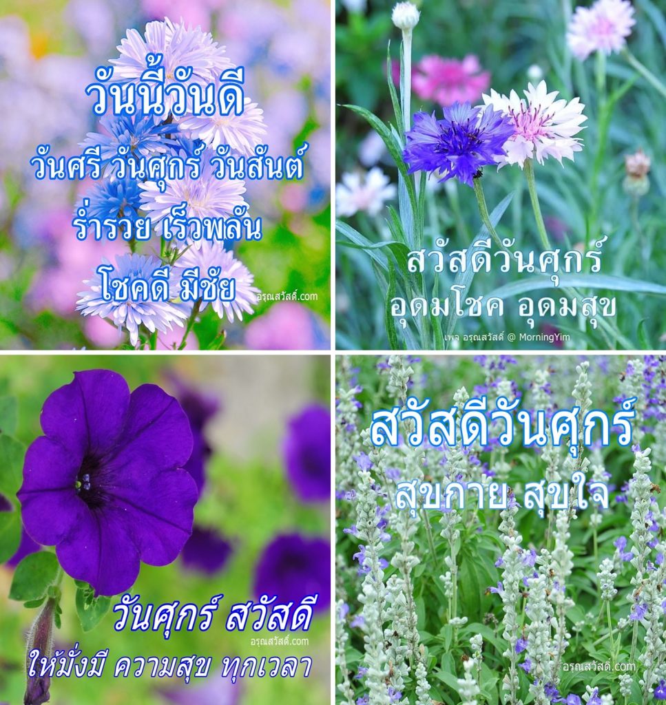 อรุณสวัสดิ์
