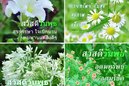 อรุณสวัสดิ์