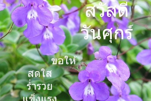 สวัสดีวันศุกร์