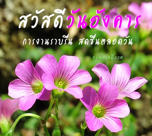 สวัสดีวันอังคาร