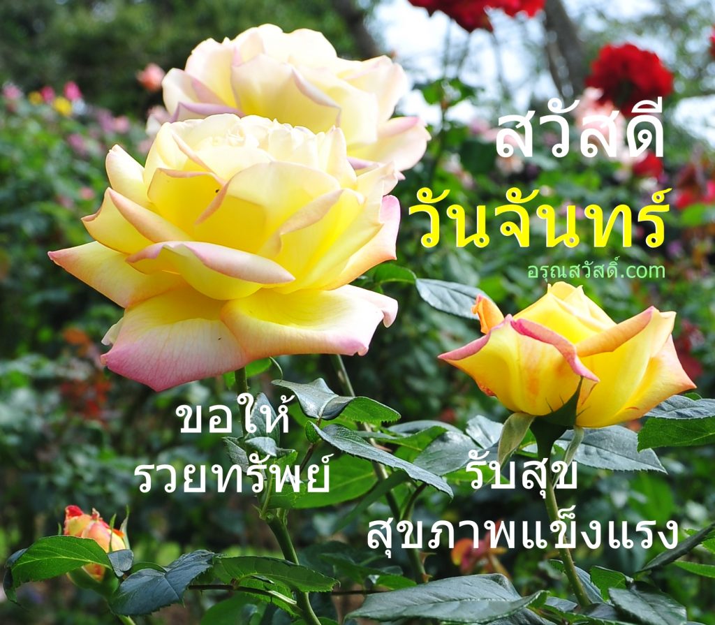 สวัสดีวันจันทร์