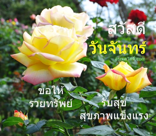 สวัสดีวันจันทร์
