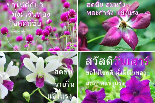 อรุณสวัสดิ์ยามเช้า