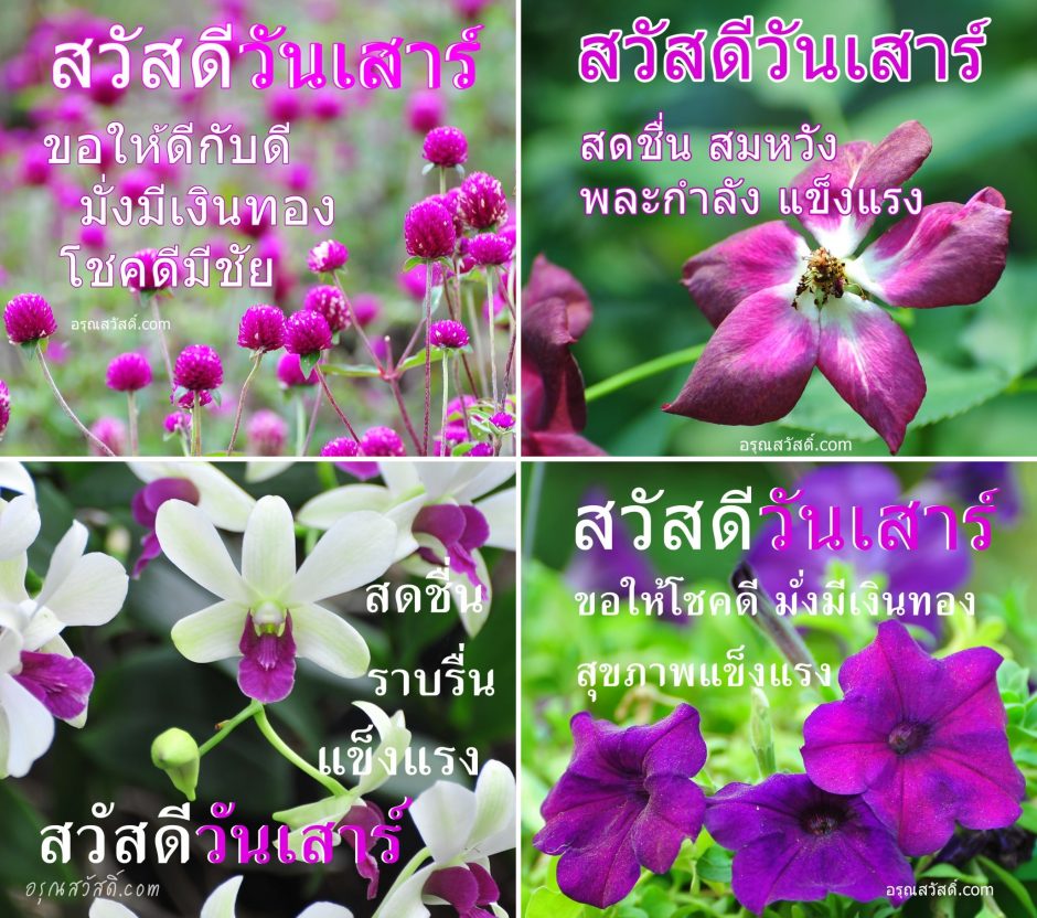 อรุณสวัสดิ์ยามเช้า