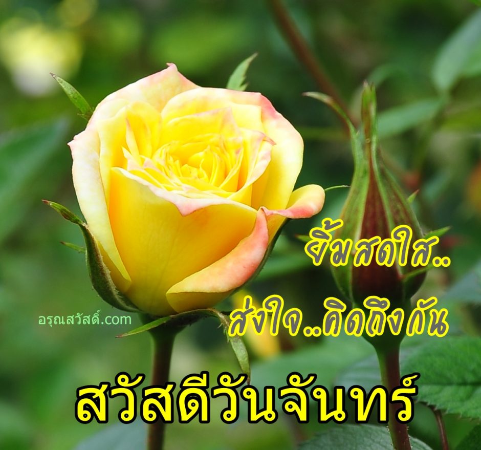 My Image 13