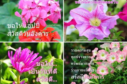 อรุณสวัสดิ์
