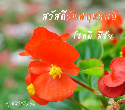 สวัสดีวันพฤหัสบดี