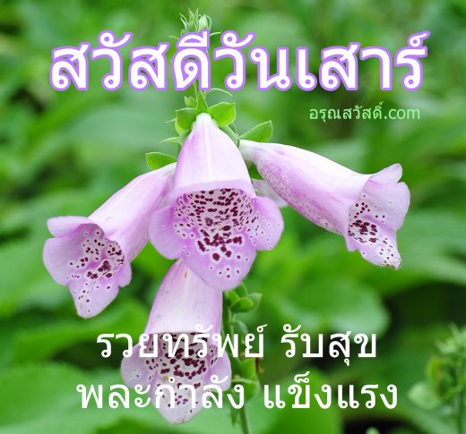 สวัสดีวันเสาร์