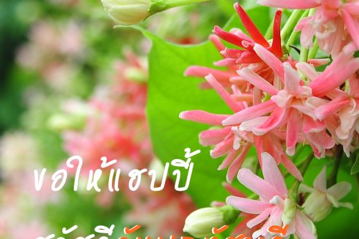 สวัสดีวันพฤหัสบดี