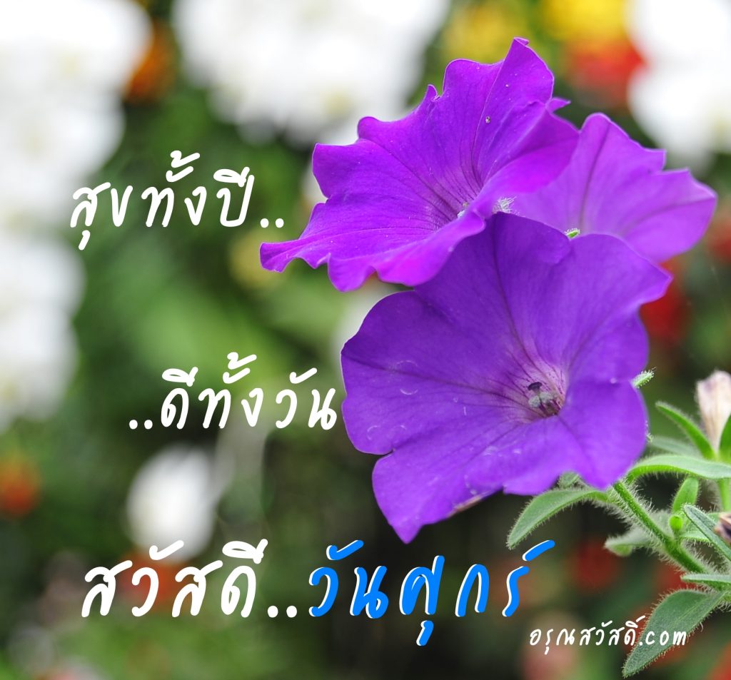 สวัสดีวันศุกร์
