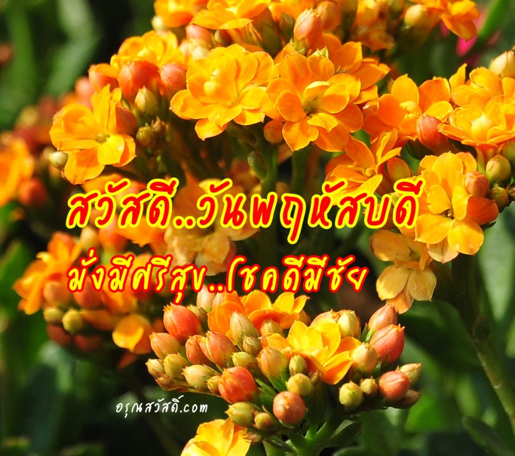 สวัสดีวันพฤหัสบดี
