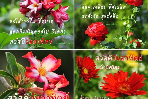 อรุณสวัสดิ์วันอาทิตย์