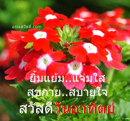 สวัสดีวันอาทิตย์