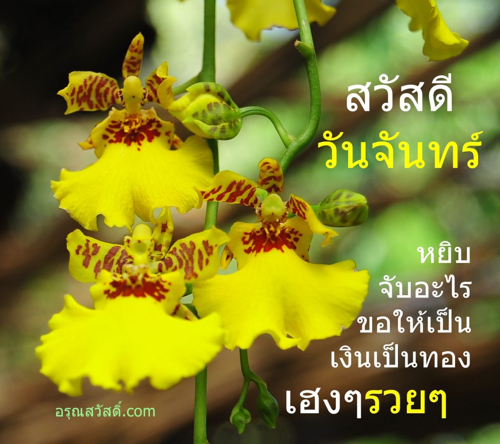 สวัสดีวันจันทร์