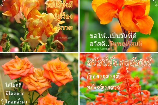 อรุณสวัสดิ์วันพฤหัสบดี