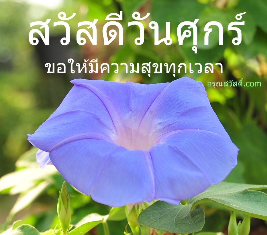 สวัสดีวันศุกร์